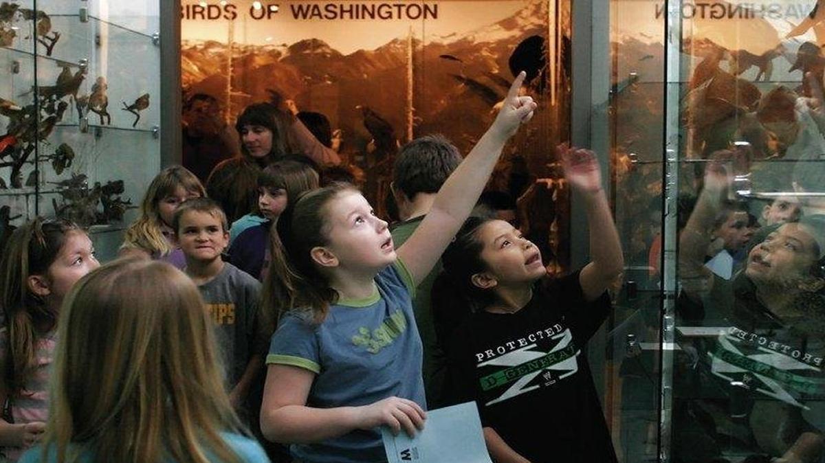 Schoolchildren visit the Syre Education Center’s collection of taxidermied birds in February 2007.