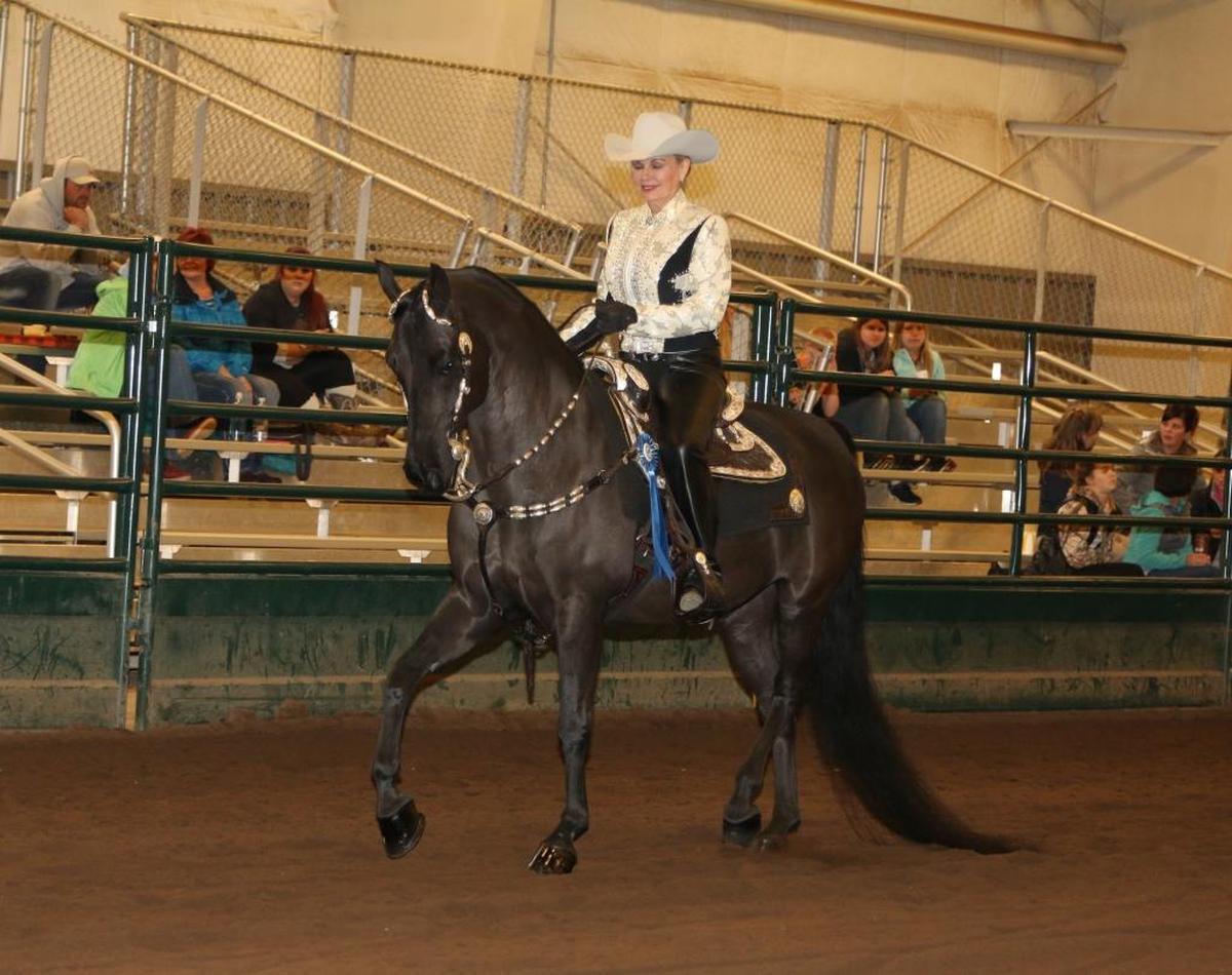 Celebrate America's first breed of horse, the Morgan Horse, performing in competitive classes featuring English and Western riding, trail and carriage driving, and dressage, Thursday through Sunday at the Northwest Washington Fair and Events Center in Lynden.