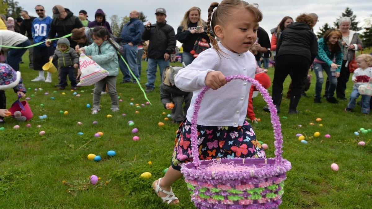 Kids grab candy-filled eggs at the 2014 Great Community Easter Egg Hunt at Pioneer Park in Ferndale.