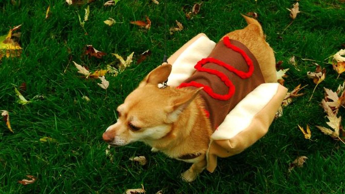 Día de los Muertos, Halloween carnivals and storytimes