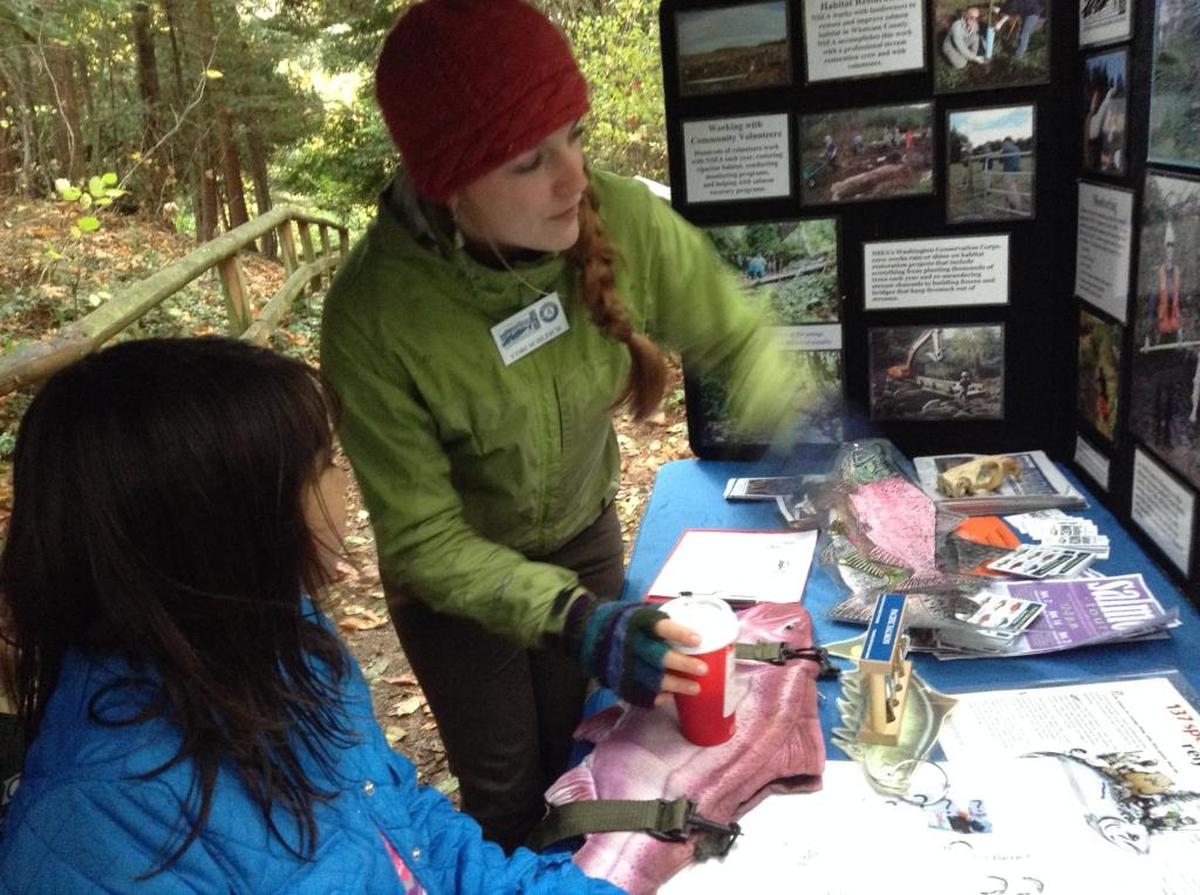 Nooksack Salmon Enhancement Association staff members work at an informational table at Fairhaven Park during the chum salmon run in November 2015.