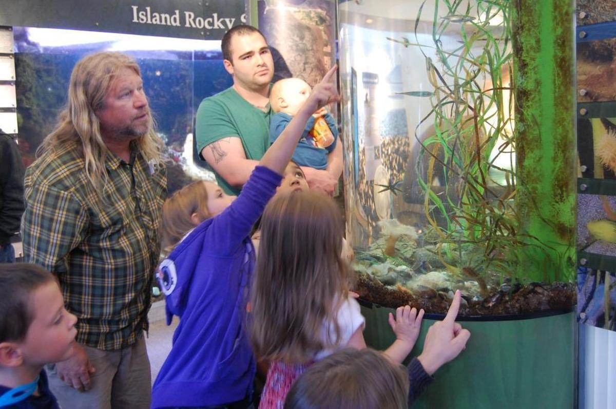 Aquarist Mark Olson describes creatures in the fish tanks at the Breazeale Interpretive Center during an aquarium tour in 2014.