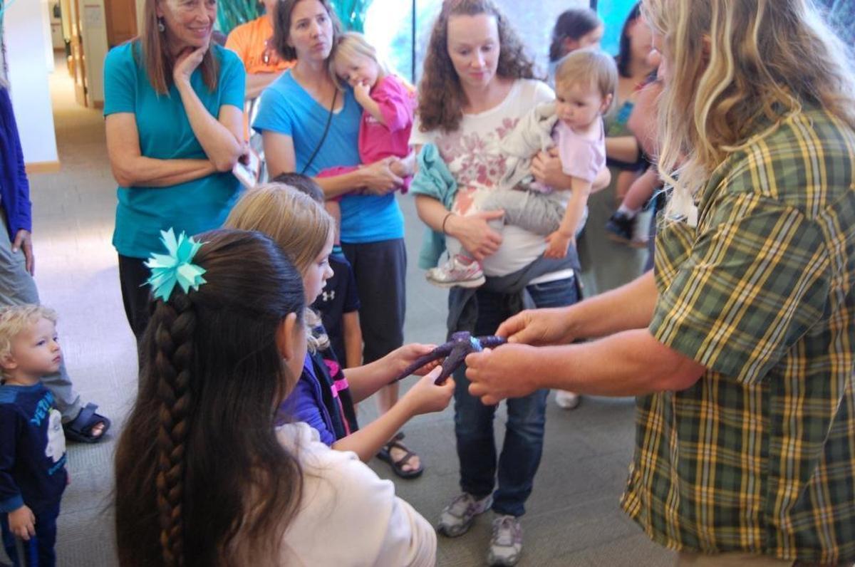 Mark Olson, aquarist at the Breazeale Interpretive Center, shows a sea star to participants at an aquarium tour in 2015.
