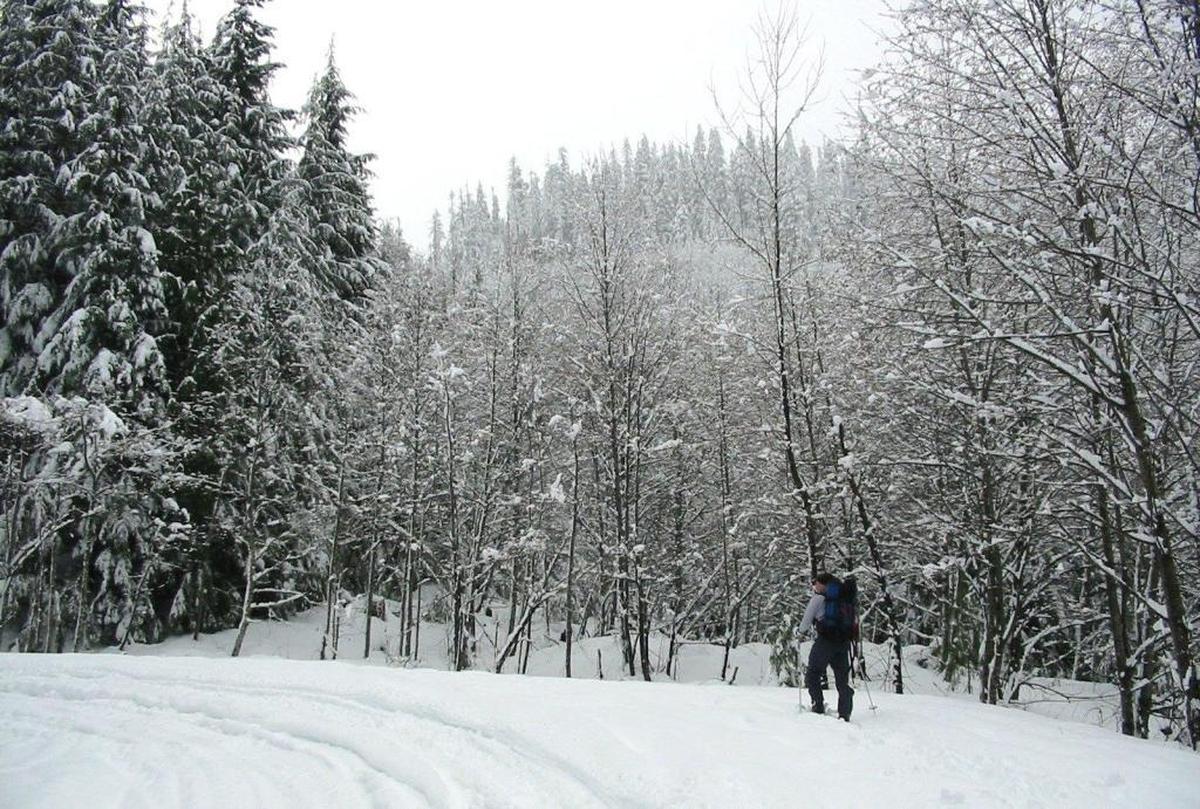 Learn snowshoe and winter-safety basics while gaining knowledge about winter ecology, recreation opportunities and the cultural history of the North Fork Nooksack drainage in a ranger-guided walk March 5.