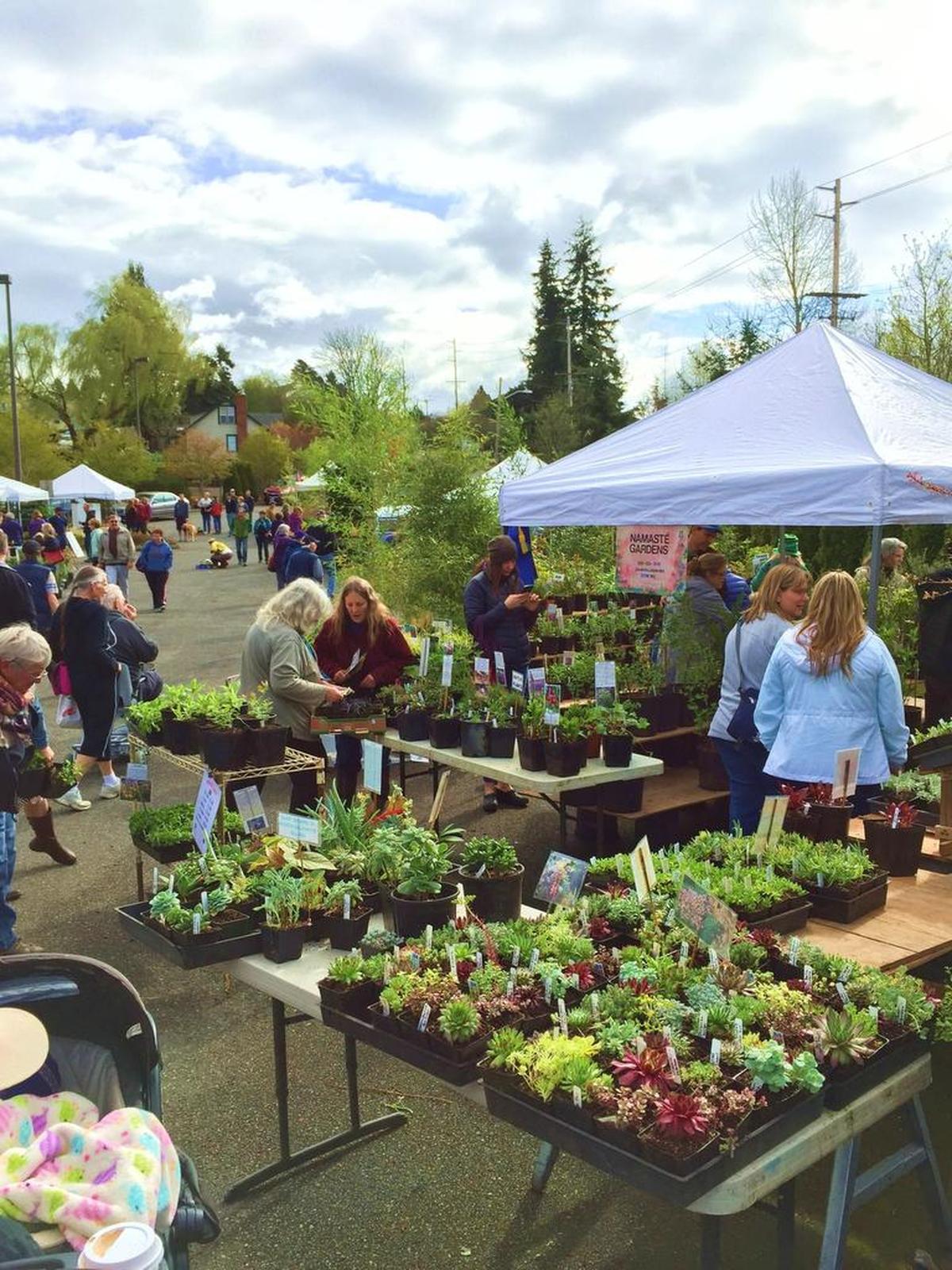 The Fairhaven Plant and Tree Sale is set for 10 a.m. to 3 p.m., Saturday at the Hillcrest Chapel outdoor parking lot, and Whatcom Conservation District’s 24th annual Plant Sale and Expo is from 9 a.m. to 2 p.m. at Whatcom Community College’s Roe Studio.