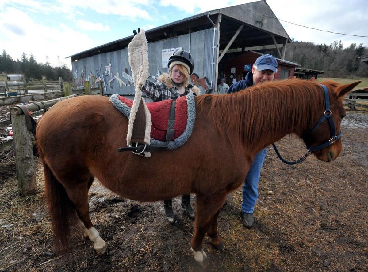 Participants work with horses in a program at Animals as Natural Therapy, which hosts a tour of the farm on Friday, Jan. 20, and volunteer orientation on Saturday, Jan. 21.