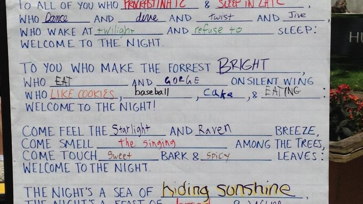 
Joyce Sidman’s poem “Welcome to the Night” was dissected into a “mad lib.”

