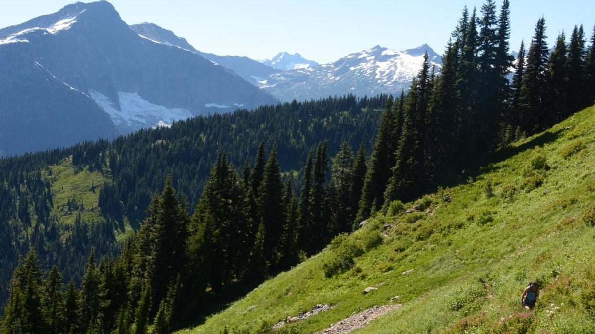 Mount Davis rises in the North Cascades as seen from Sourdough Mountain in summer 2016.