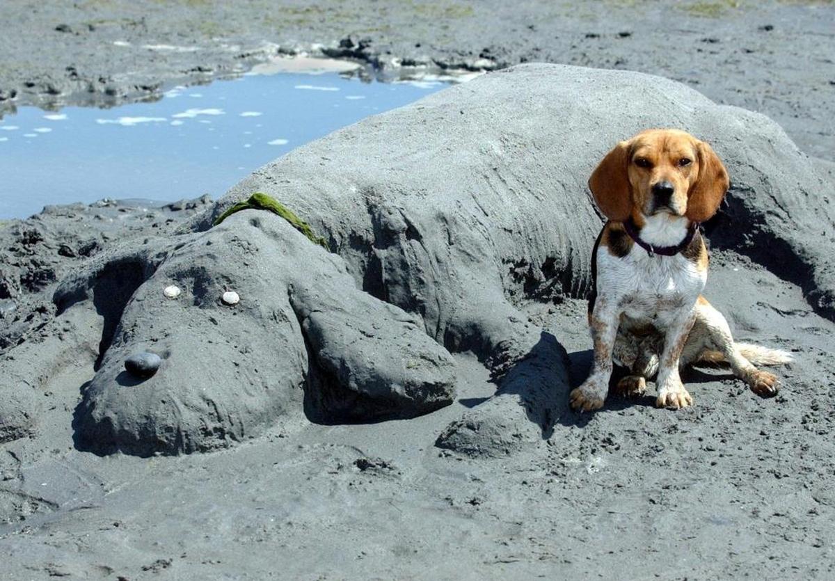 Snoopy poses next to his likeness that his owners made out of sand during the Birch Bay sand castle contest. The 2017 event takes place July 22 and 23.