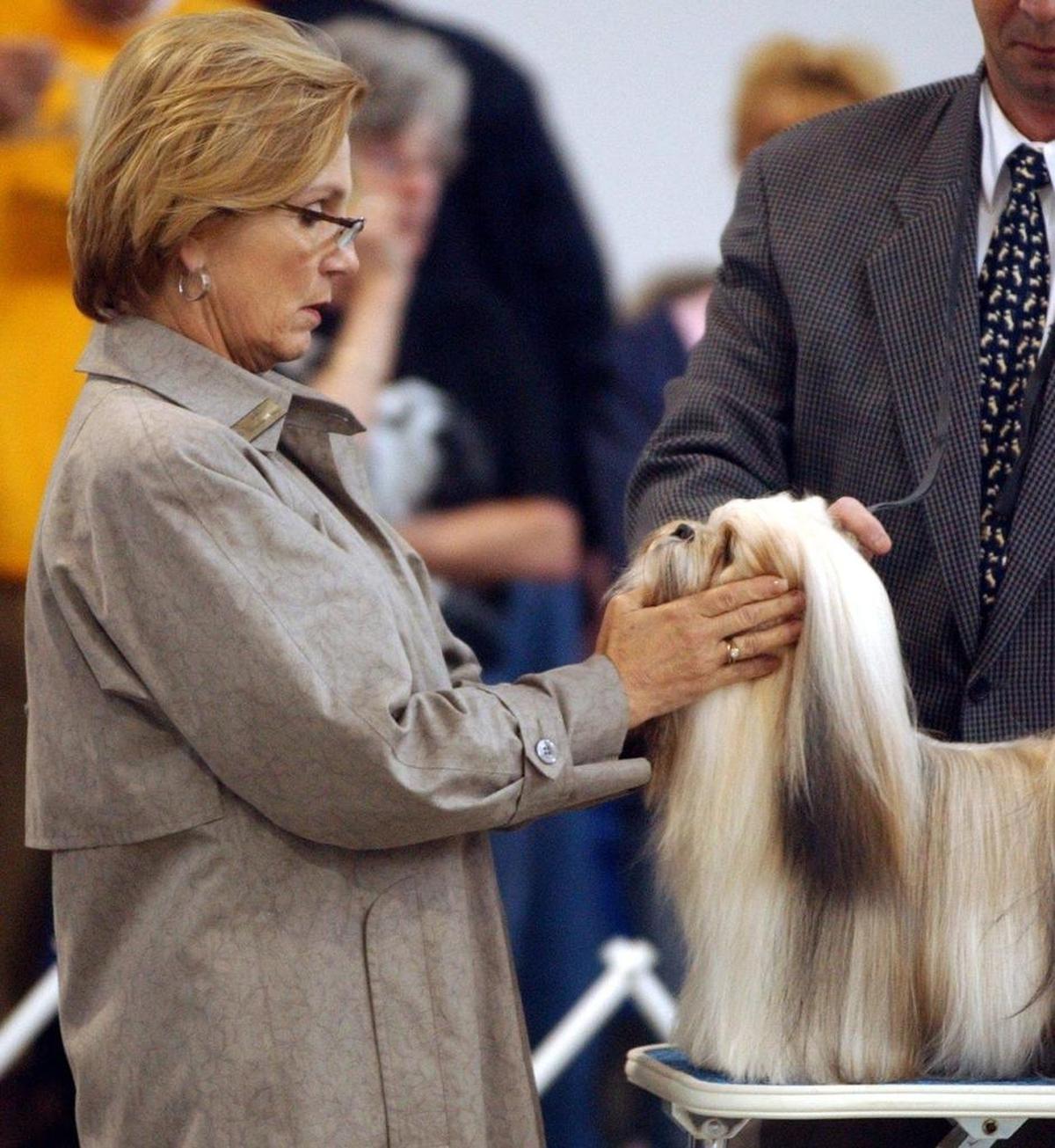 Jacqueline L. Stacy judges a Lhasa Apso at the Mount Baker Kennel Club’s All-Breed Dog Show in May 2004.