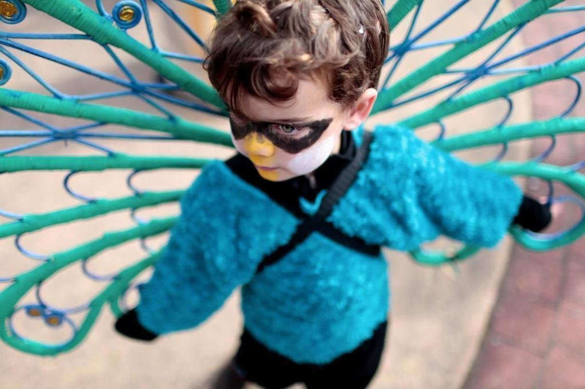 Evan Isaly, then 4, shows off his peacock costume in at the Procession of the Species parade in 2011.