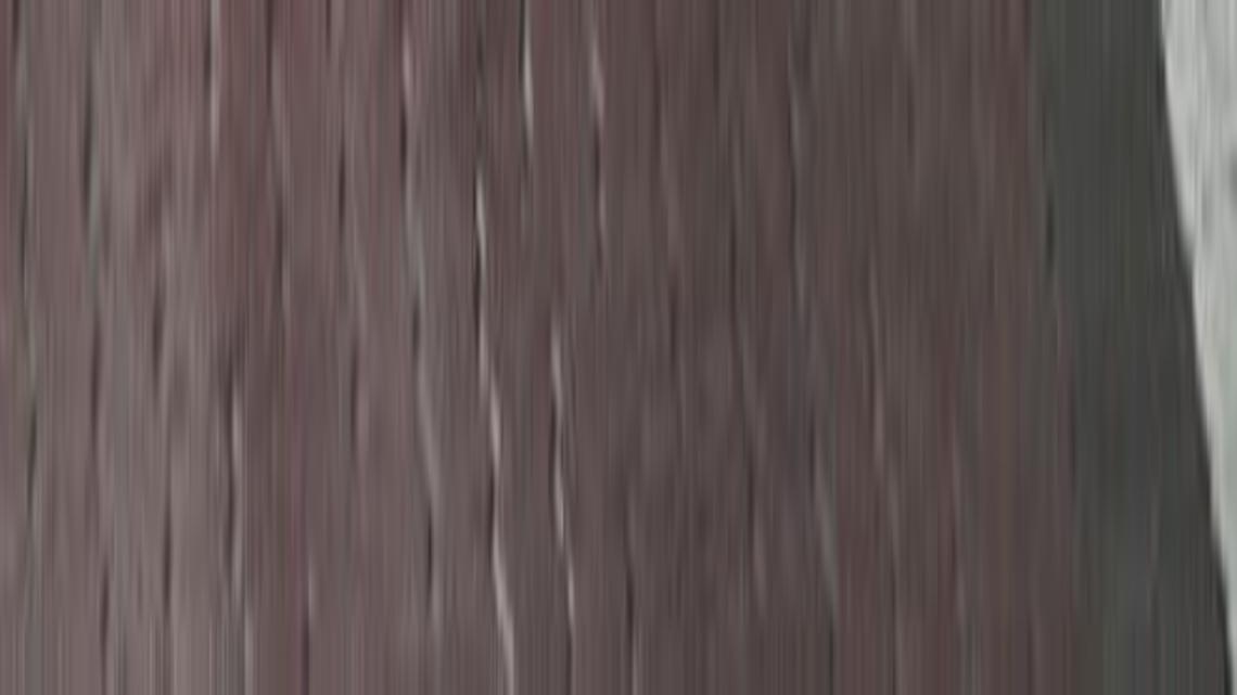 Join a holiday fun run in Blaine, enjoy tea in Deming, mend your torn clothing