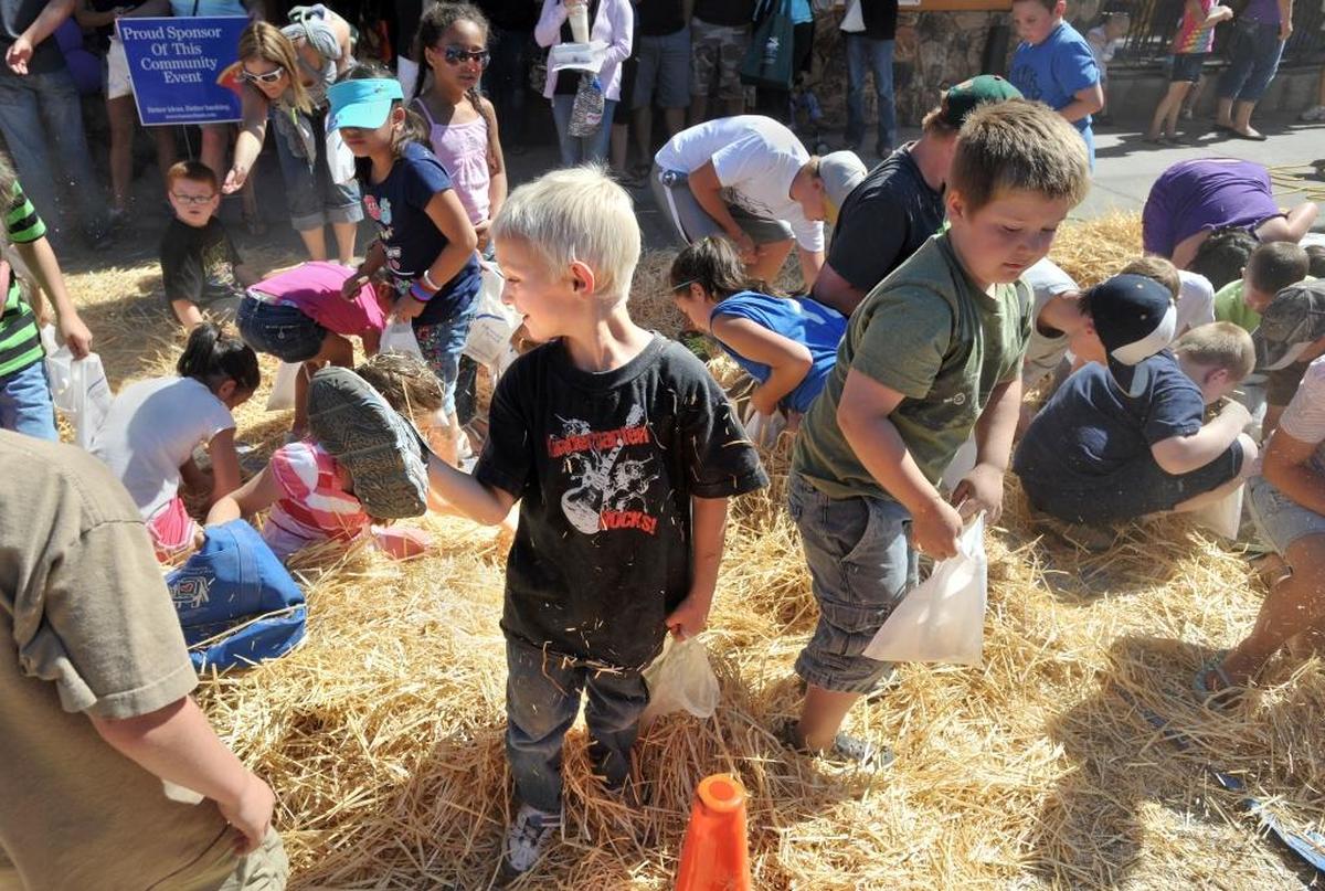 A money hunt is among the activities taking place at the Ferndale Street Festival, which runs Friday and Saturday in downtown Ferndale.