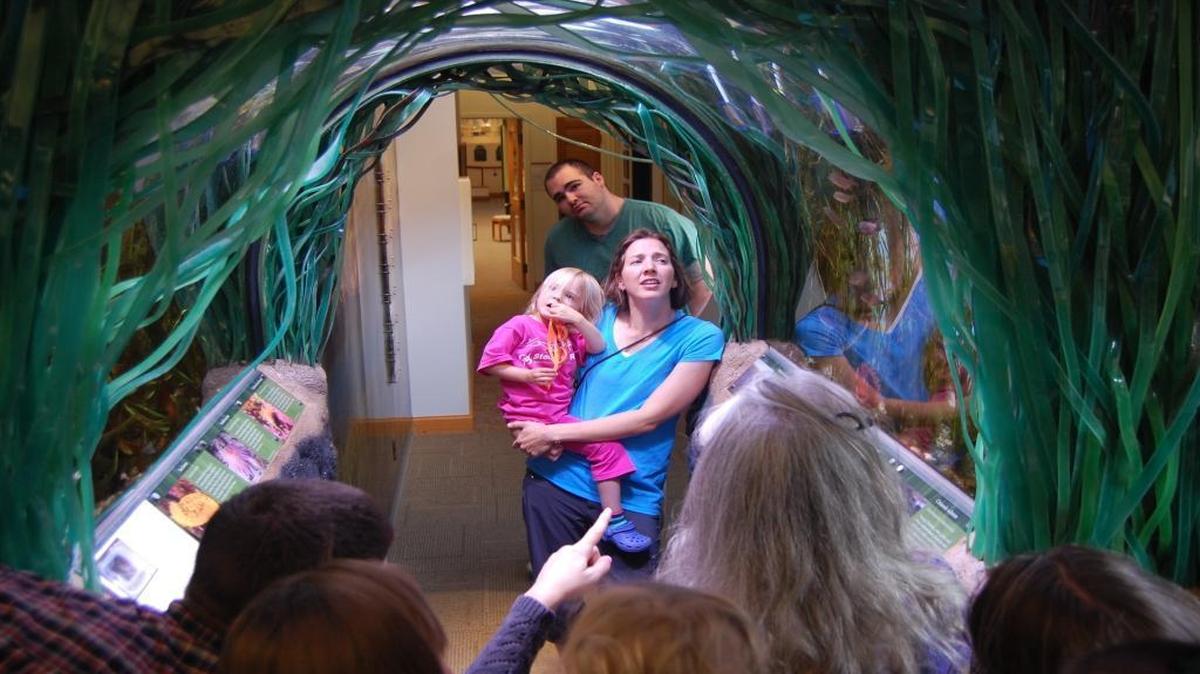 Visitors examine aquariums in the eelgrass exhibit at Breazeale Interpretive Center.
