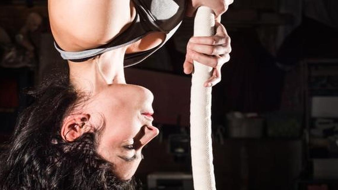 Circus guild hosts aerial show, get your antiques evaluated