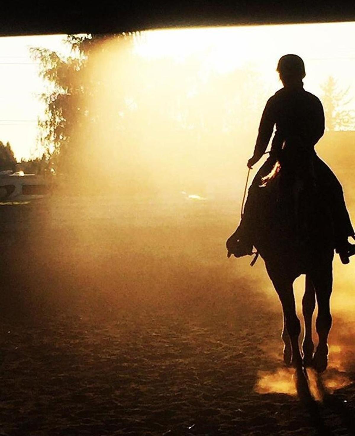 The Western Washington University Equestrian Team, a student-run sports club, will host its annual show Saturday and Sunday, Feb. 4 and 5, at the Northwest Washington Fair and Event Center in Lynden.