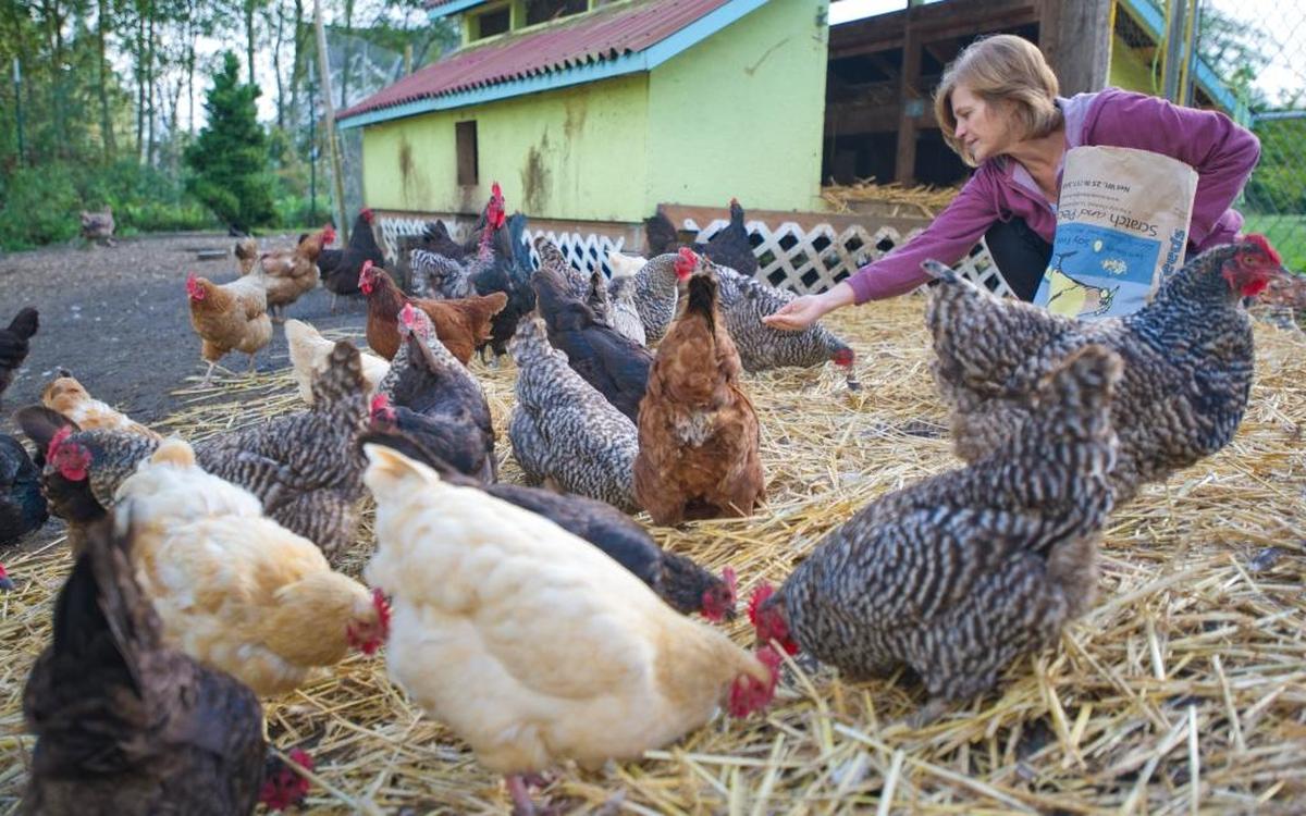 Scratch and Peck Foods is among the participants at the free Small Farm Expo on Saturday at the Northwest Washington Fair & Event Center in Lynden.