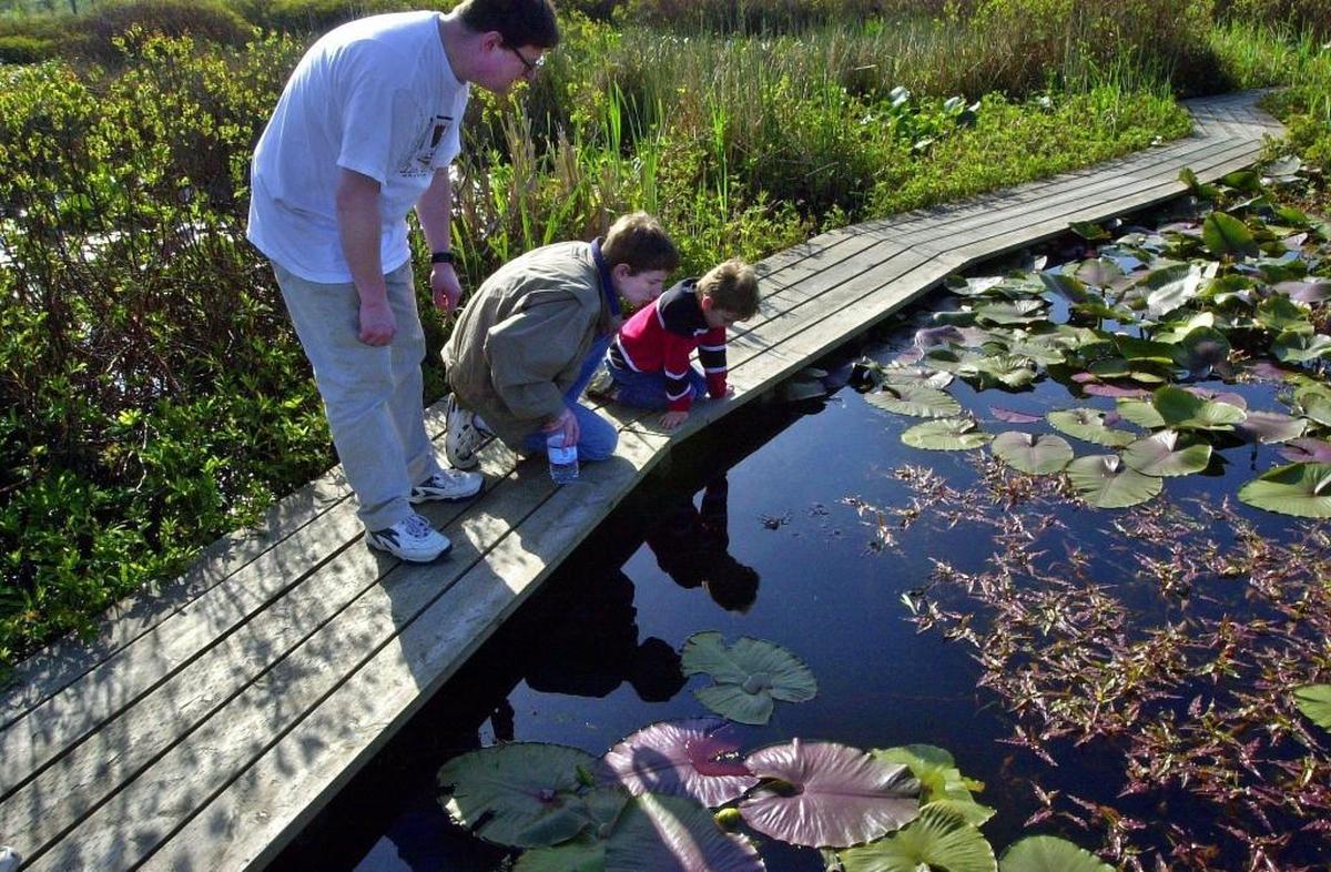 Allen Nelson, left, and his sons Tyrell and Christopher of Sudden Valley visit Tennant Lake in 2002. The area’s marsh trail boardwalk is open after its annual closure for duck season.
