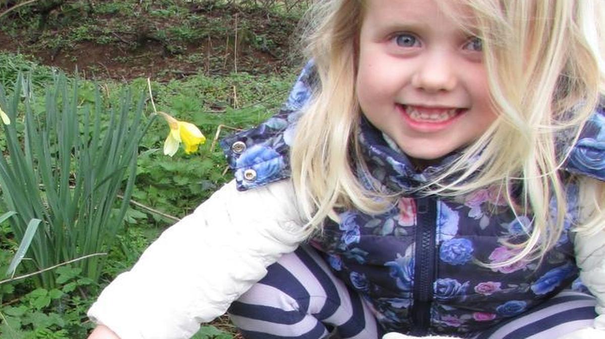 Kids ages 6 through 11 can hike through Bellingham’s Hundred Acre Woods with guides from Wild Whatcom on March 23 to learn all about edible nettles.