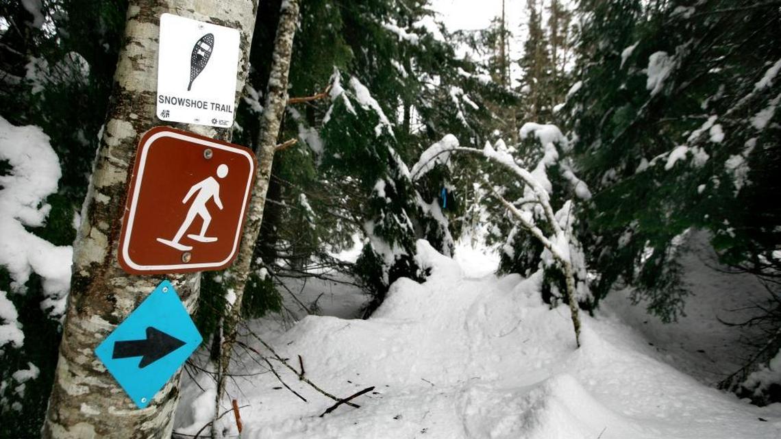 Start cross-country skiing, go window shopping downtown