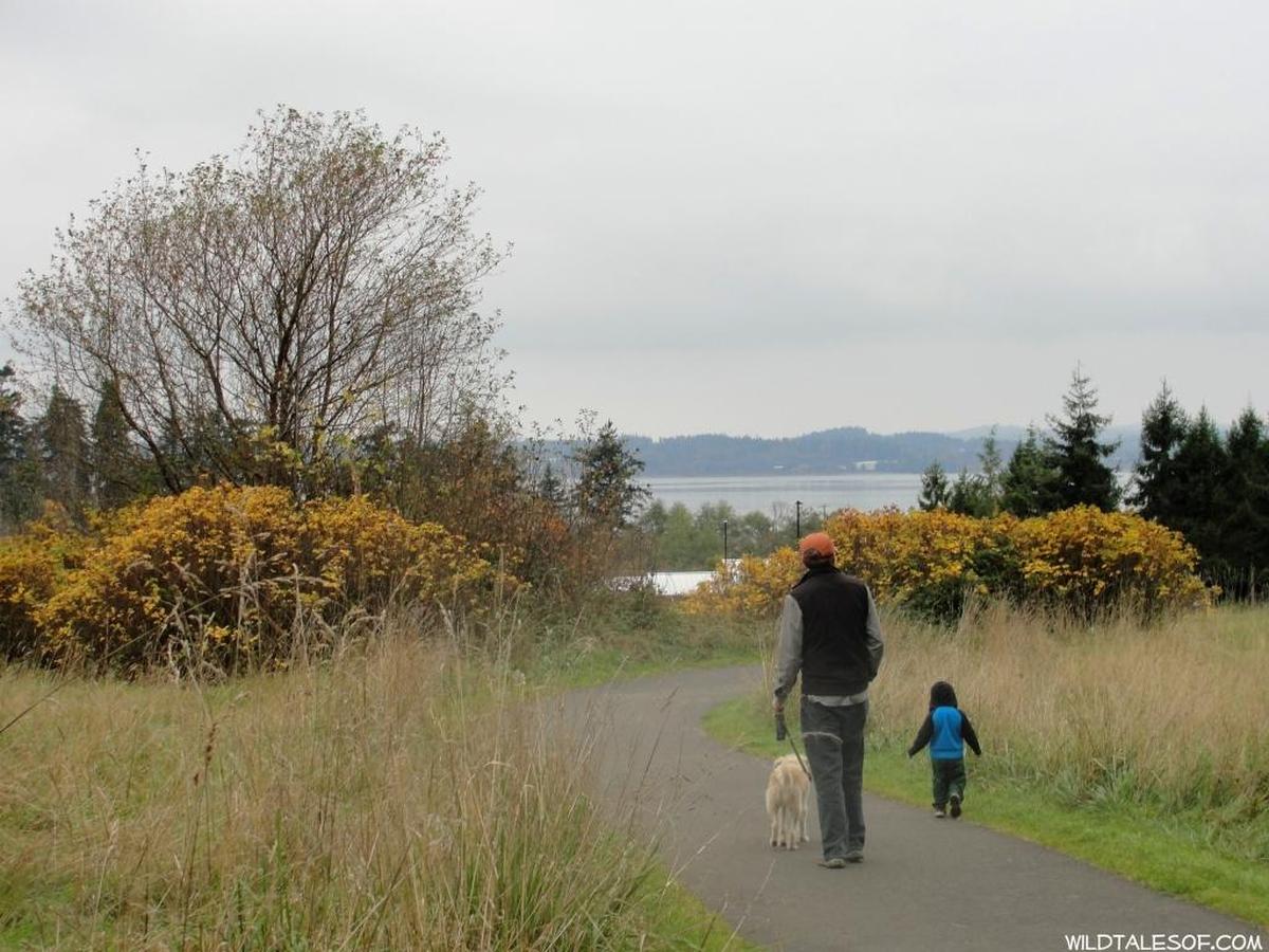 Join certified professional horticulturist Robin Haglund and other plant-curious cohorts from 10 to 11 a.m. Sundays, beginning this month and continuing June 11, July 16, Aug. 13 and Sept. 10, for a series of informal walks through the upland forests and meadows of the Padilla Bay Reserve and Breazeale Interpretive Center.