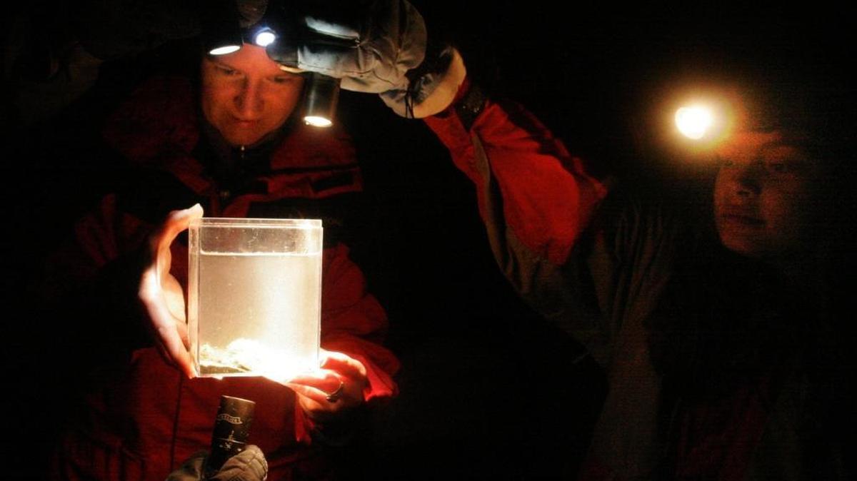 Keeley OConnell examines a tide pool sculpin during a nighttime walk at Larrabee State Park in February 2007.