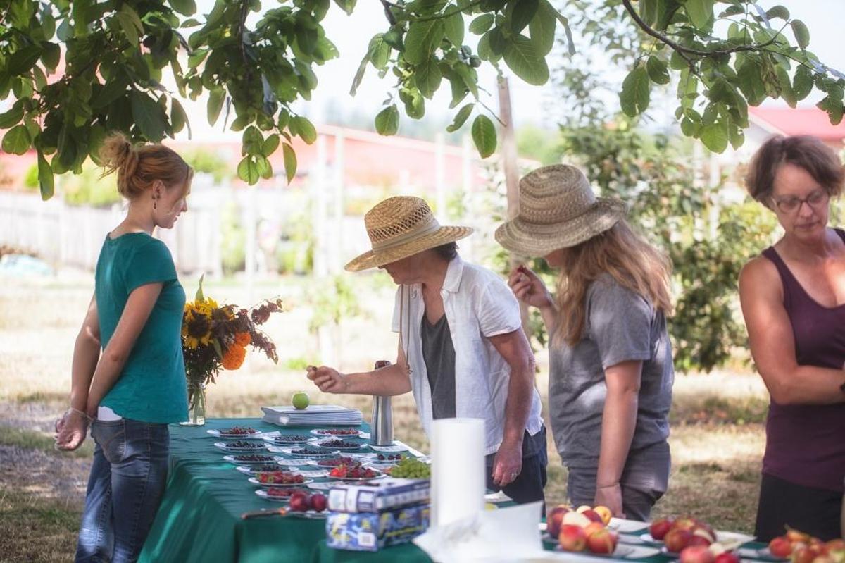 Cloud Mountain Farm Center, 6906 Goodwin Road, in Everson, hosts a family-friendly Summer Harvest Festival from 10 a.m. to 5 p.m. Saturday.