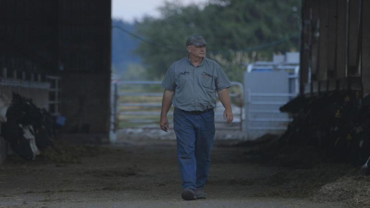 Alan Mesman, a dairy farmer near La Conner, is one of the families featured in Jan Haaken’s documentary, “Milk Men,” showing Oct. 30 and 31 at the Pickford Film Center.