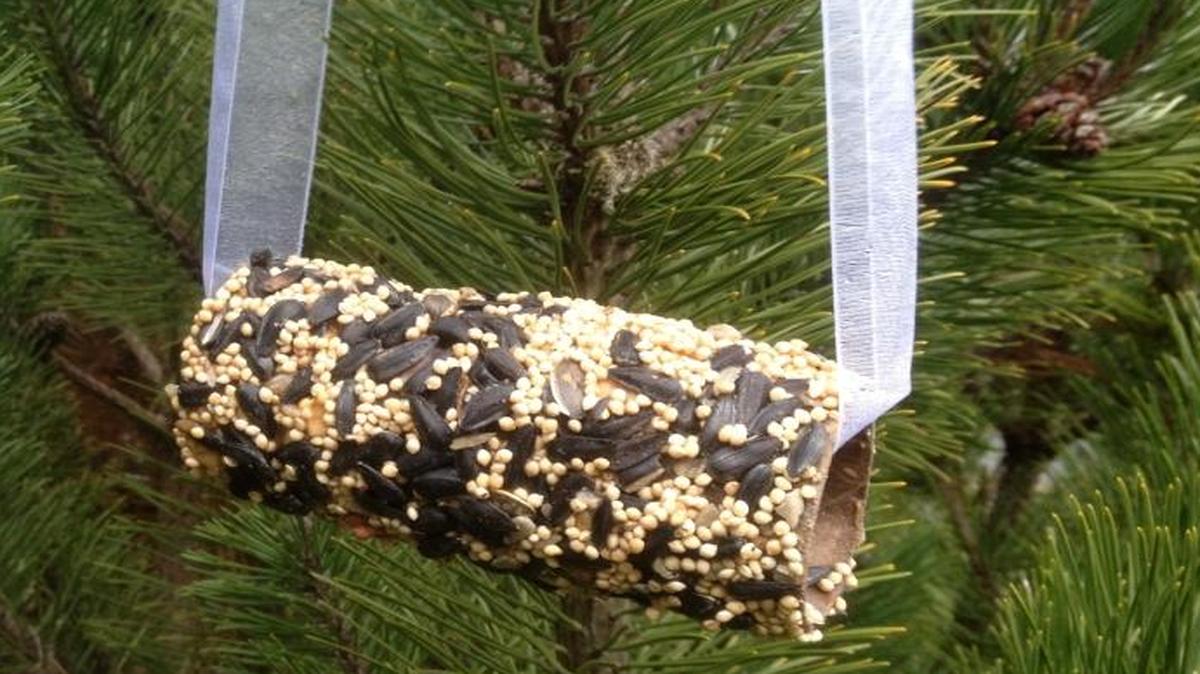 Fairhaven Toy Garden offers a fee bird-feeder craft activity on Jan. 21, 2016.