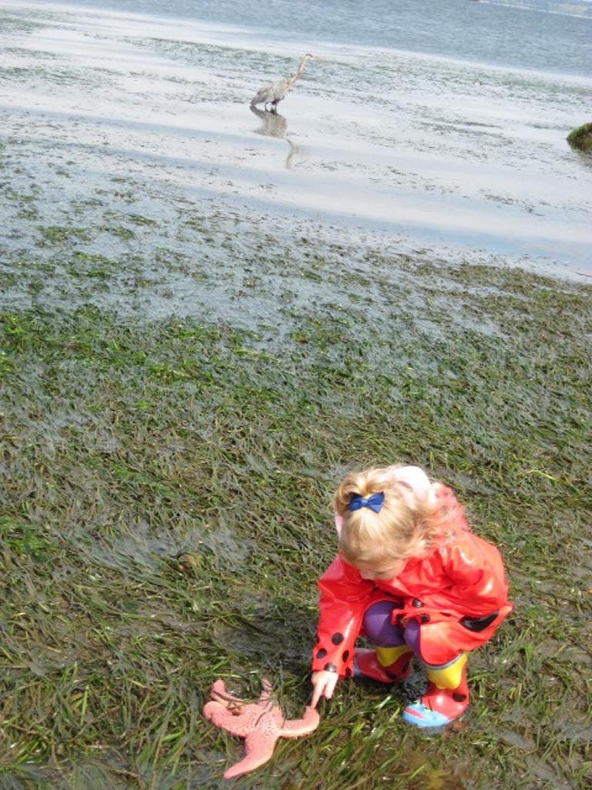 The beaches in Bellingham will have a low tide of -2.8 on Saturday, so it’s a great time for a daytime tour of the diversity of marine life at a Low Tide Picnic from 11:30 a.m. to 1:30 p.m. at Marine Park, hosted by Wild Whatcom.