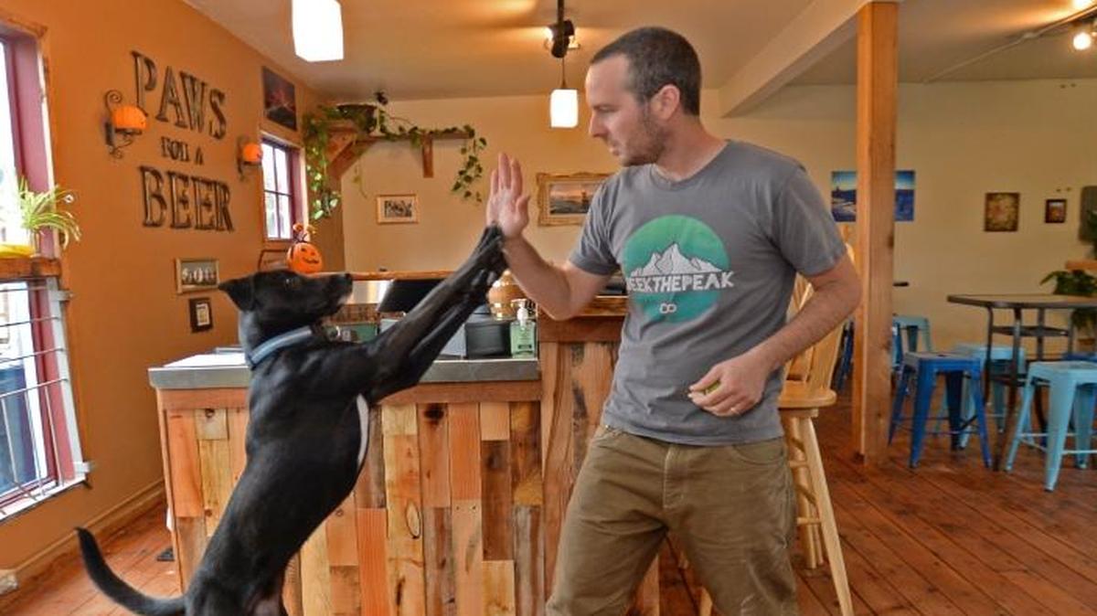 Paw for a Beer: Enjoy a scenic walk along Boulevard Trail with your pup (or cat!) on April 27 in a benefit for Whatcom Humane Society. Participants will gather at 5 p.m. at Boundary Bay Brewery, where humans will get to enjoy free root beer in the brewery’s dog-friendly beer garden. At 5:30 p.m., the group will walk along the trail to Fairhaven’s Paws for a Beer.