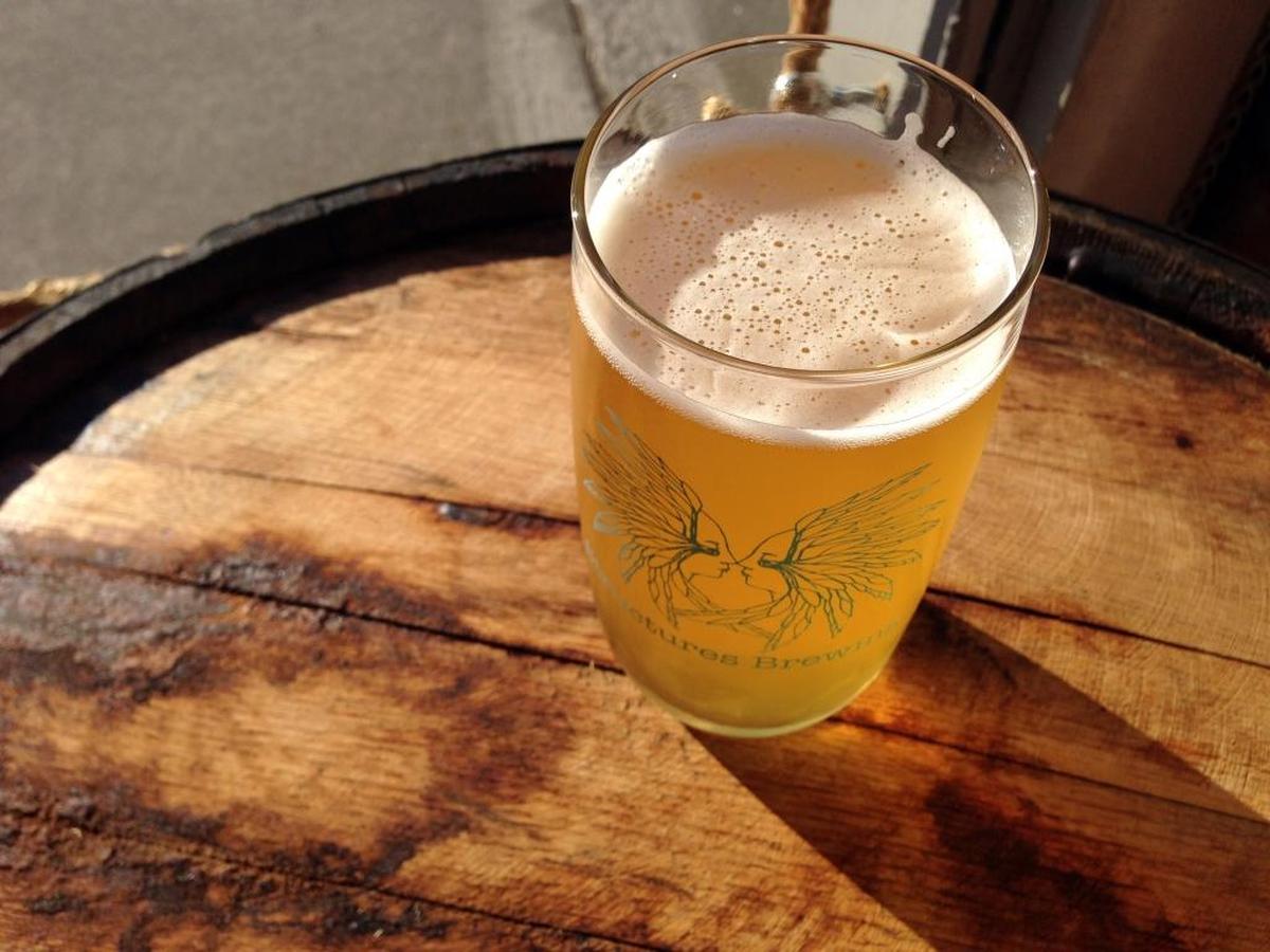 Splash, a citrusy, minimally bitter IPA from Structures Brewing.