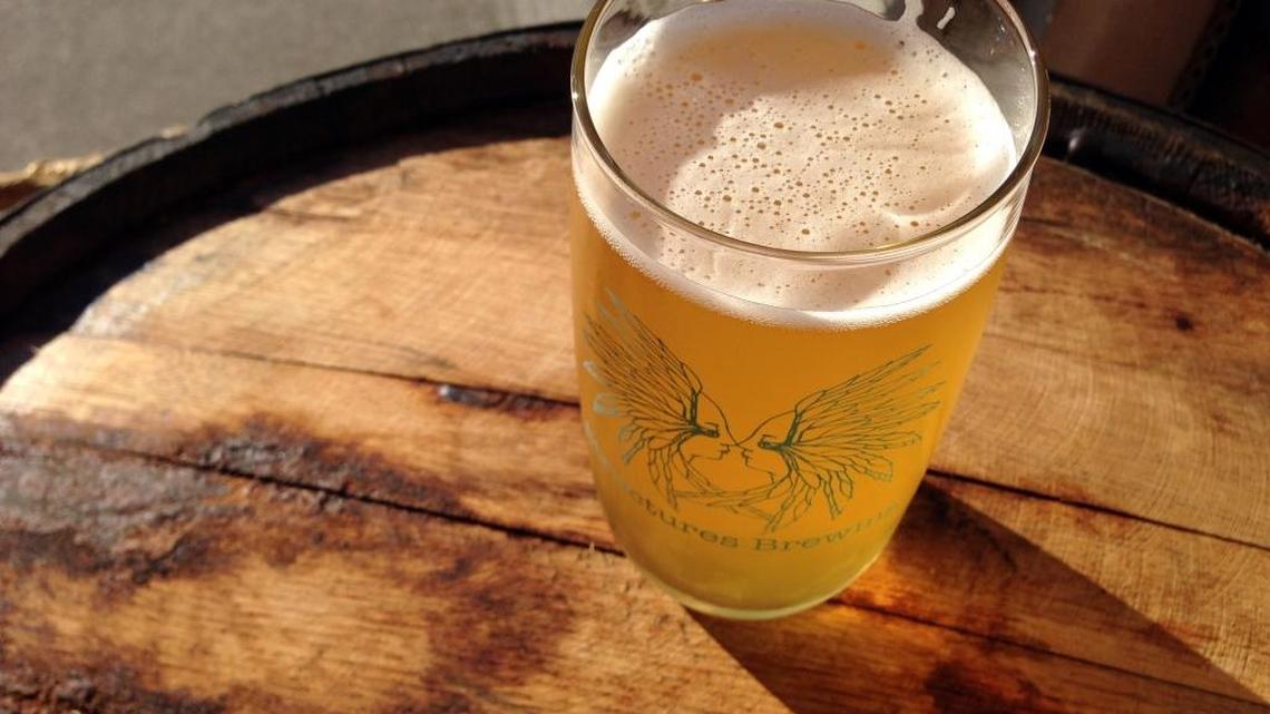 Splash, a citrusy, minimally bitter IPA from Structures Brewing.