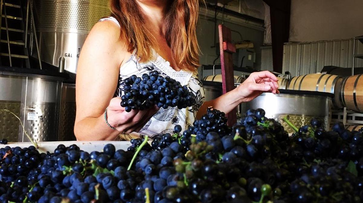Meredith Smith, the head winemaker for Sawtooth and Ste. Chapelle in Idaho’s Snake River Valley, makes the best rosé in Idaho.