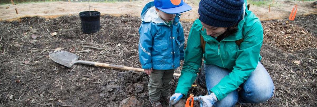 Bellingham and the Nooksack Salmon Enhancement Association will mark Martin Luther King Day with a work party to improve salmon habitat at Maritime Heritage Park from 10 a.m. to 1 p.m. Monday.