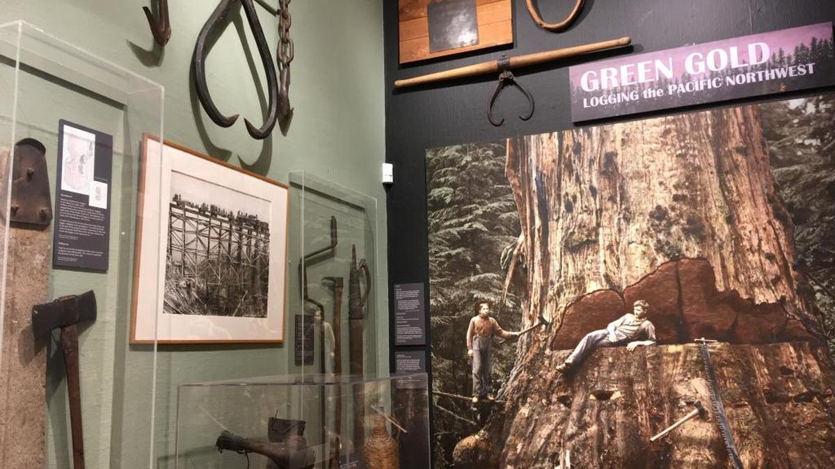 Using historic black and white photographs from the archives, as well as early forestry artifacts from the museum’s collection, visitors will relive the history of logging in this corner of the Pacific Northwest at a new exhibit at Old City Hall that tells the history of logging in the region.