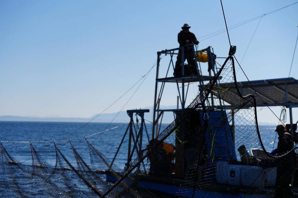 The crew on Riley Starks’ modern reef net rig use solar-powered winches to lift the net after underwater cameras, sonar and lookout towers help them spot the salmon off Lummi Island on Sept. 14, 2023.