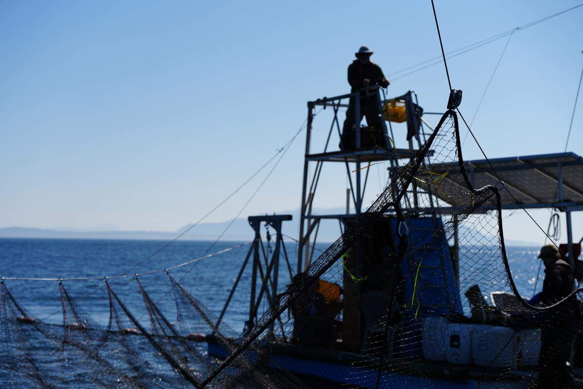 The crew on Riley Starks’ modern reef net rig use solar-powered winches to lift the net after underwater cameras, sonar and lookout towers help them spot the salmon off Lummi Island on Sept. 14, 2023.