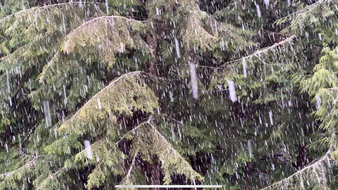 Bellingham could see flurries next week as wintry weather returns to lowlands