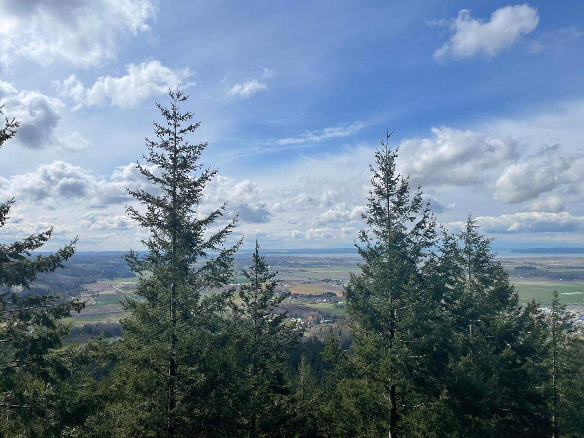 The view of Skagit Valley from Little Mountain on Wednesday, April 5, at 3000 Little Mountain Road in Mount Vernon.