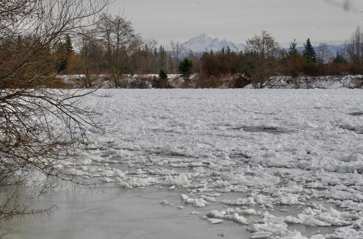 The Nooksack River is covered with ice Wednesday, Dec. 29, at Ferndale Road in Whatcom County. Air temperatures have been below freezing since Saturday, Dec. 25.