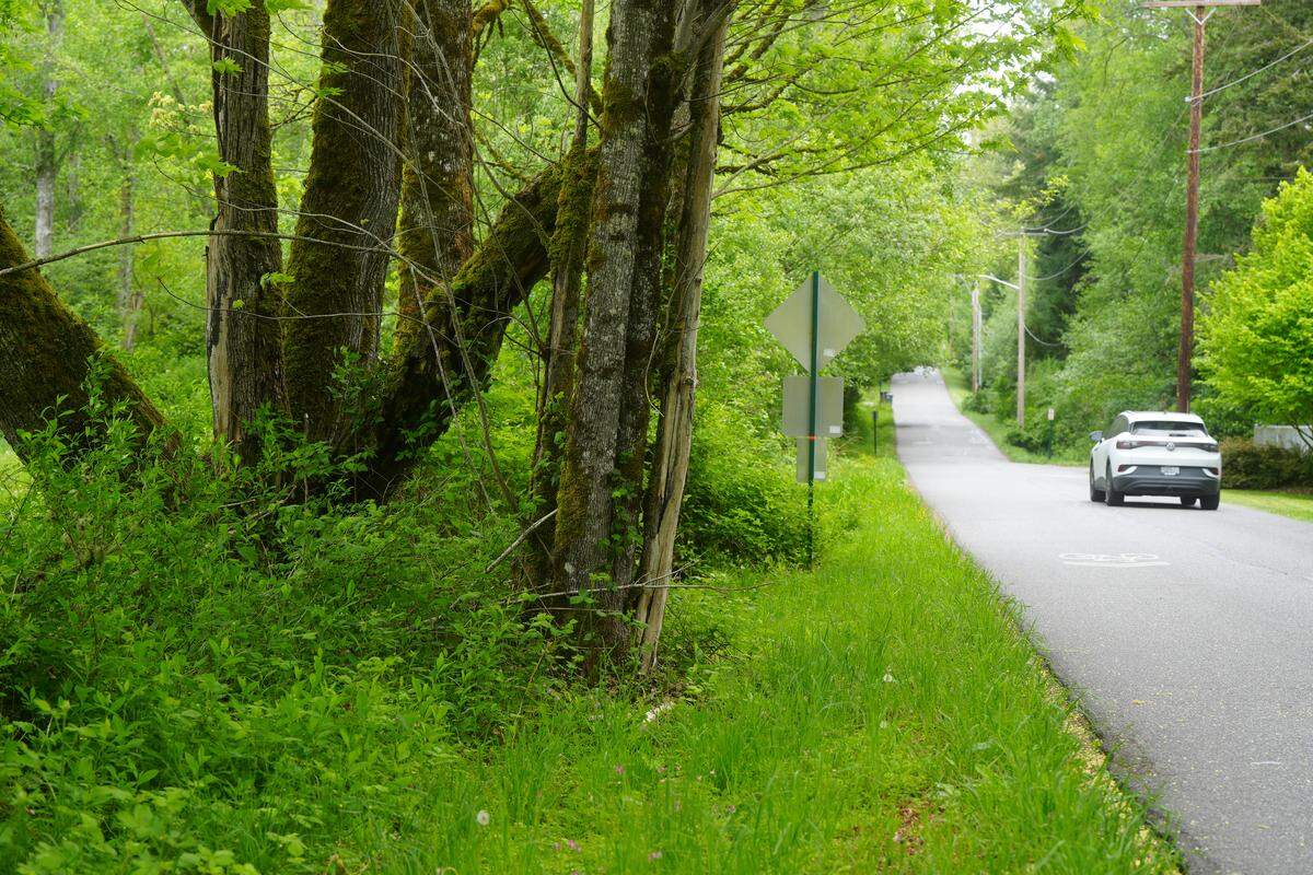 Wilkin Street, across from Lake Padden, has no sidewalks. A 29-unit subdivision development proposed for the site along the roadway would come with frontage improvements, including a sidewalk and parallel street parking.