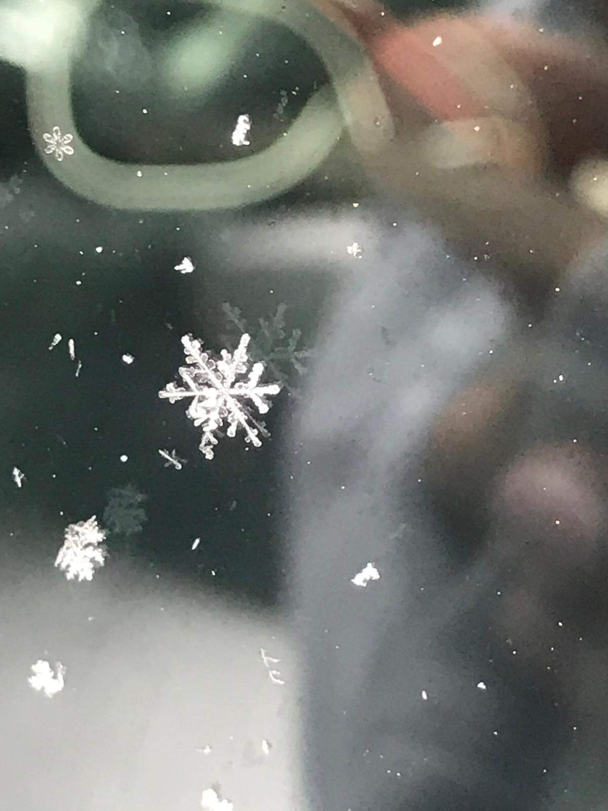 On her way to college in Bellingham, Aitana Lucia Bonneau Messarina captured a snowflake on her windshield Tuesday.