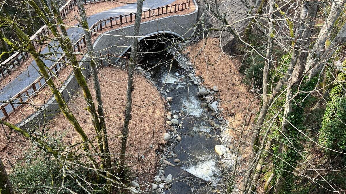 A new culvert and sloping stream bed in Padden Creek along the Interurban Trail are shown in a photo from the 12th Street bridge in the Fairhaven District of Bellingham on Friday.