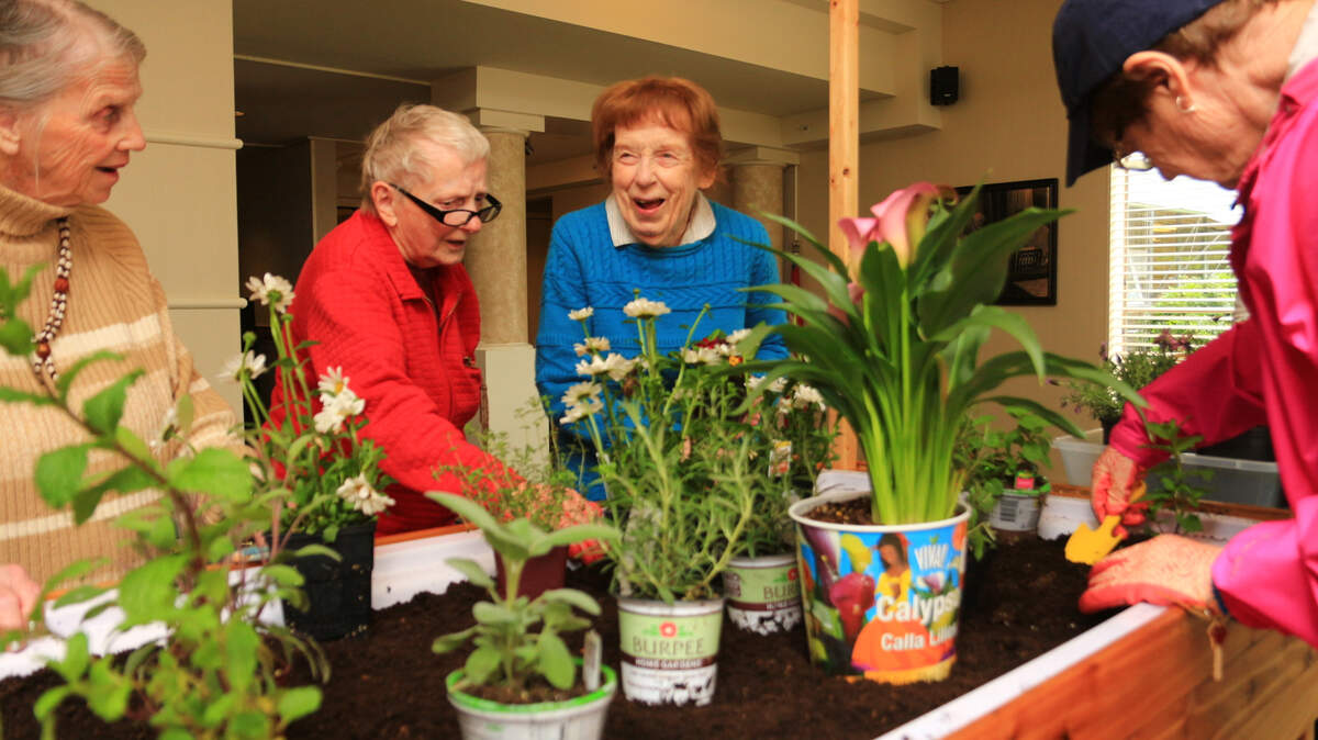 Mt. Baker Care Center, a Bellingham senior-living facility, partnered with Eldergrow of Seattle for an indoor garden designed to take advantage of the therapeutic benefits of horticulture.