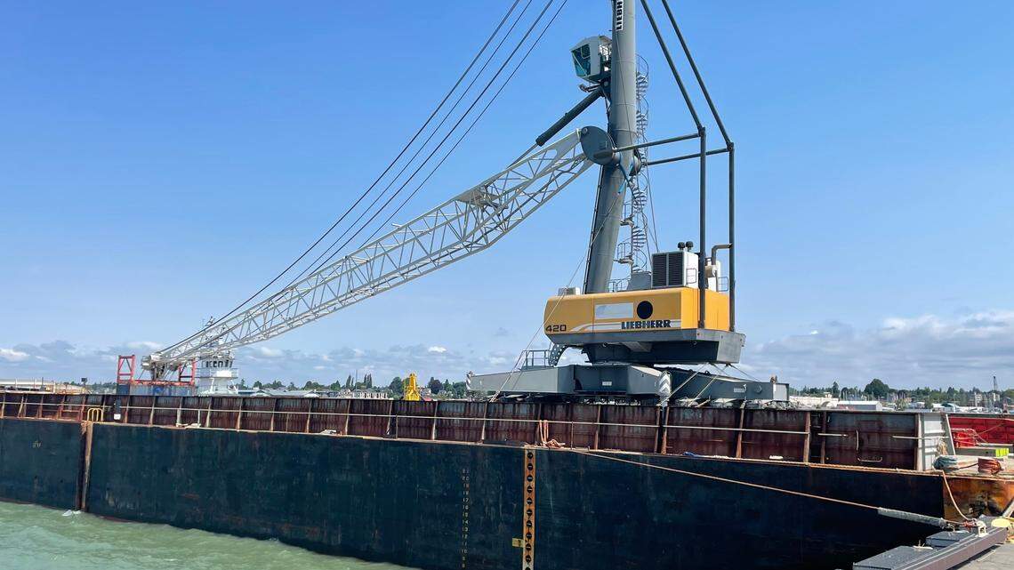 Here’s a look at the candidates running for the Port of Bellingham’s District 1 seat