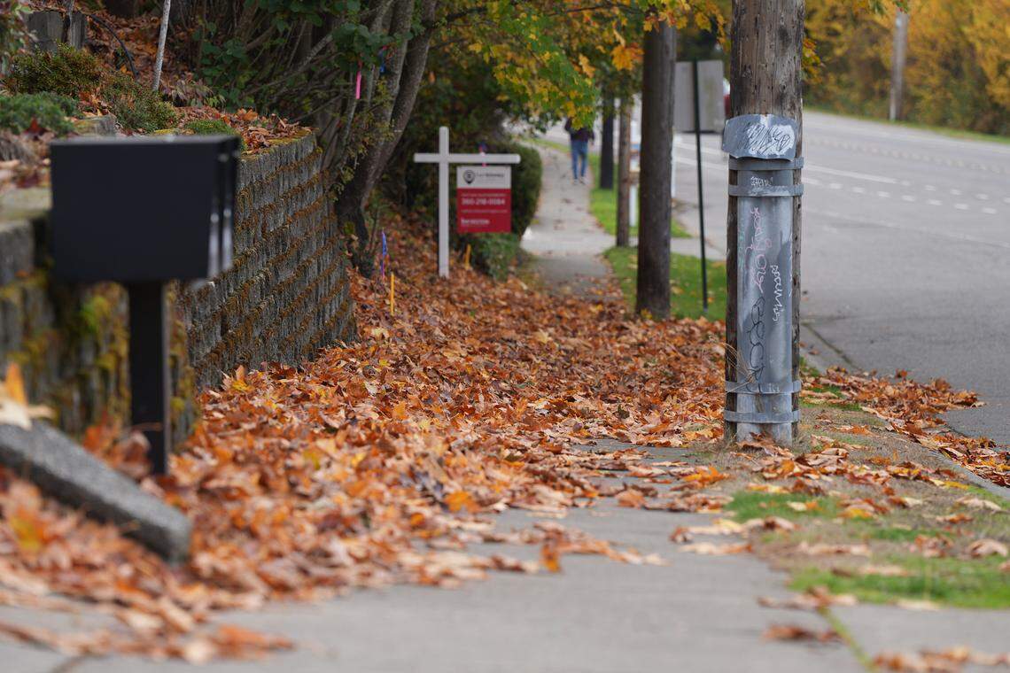 Orange leaves cover a sidewalk along North State Street on Oct. 30, 2025, in Bellingham, Wash.