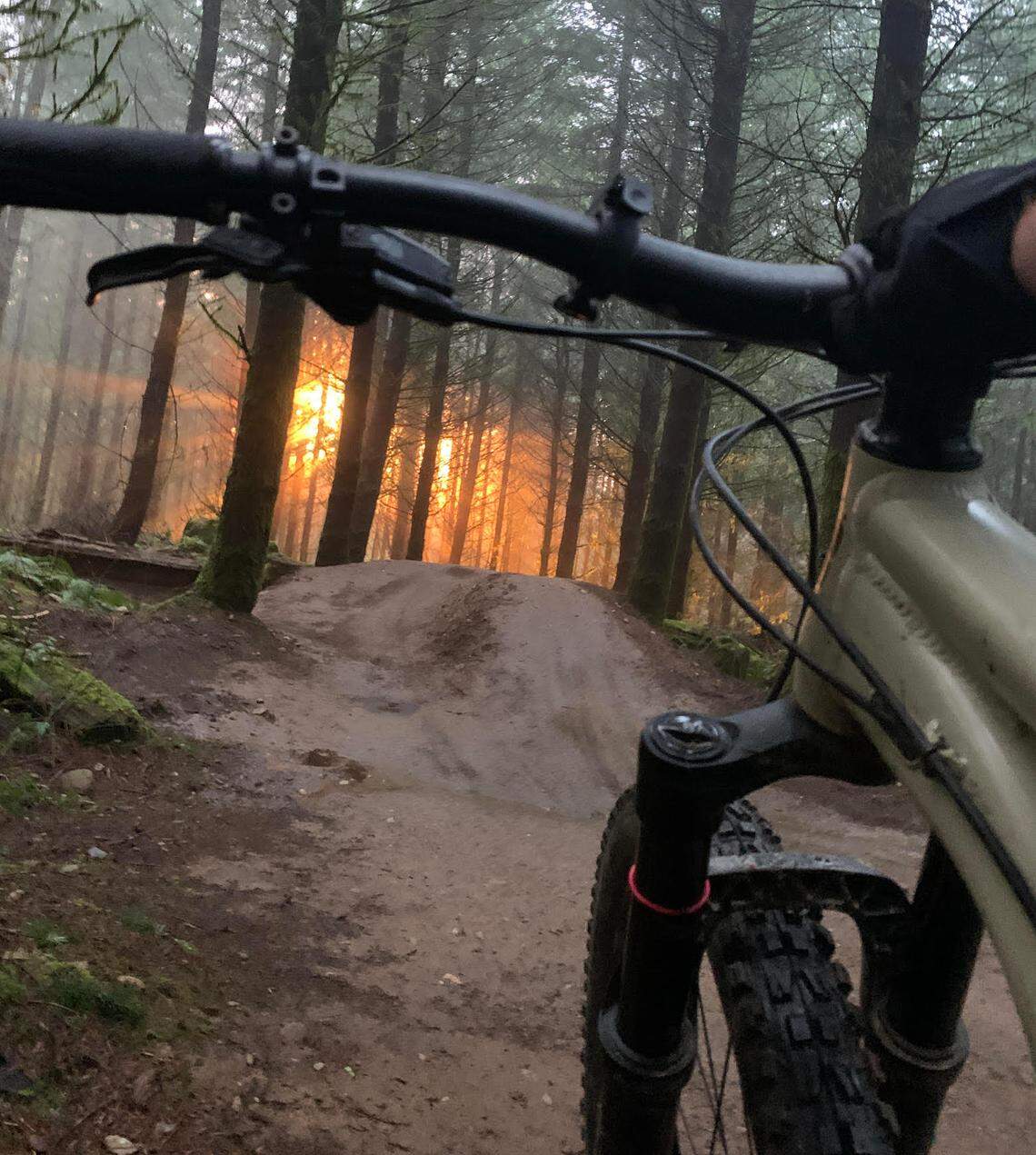 A look down the trail “Unemployment Line” at Galbraith Mountain in Whatcom County in February 2024. 