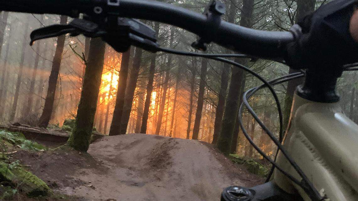 Galbraith Mountain will be closed for a bow hunt to control the deer population