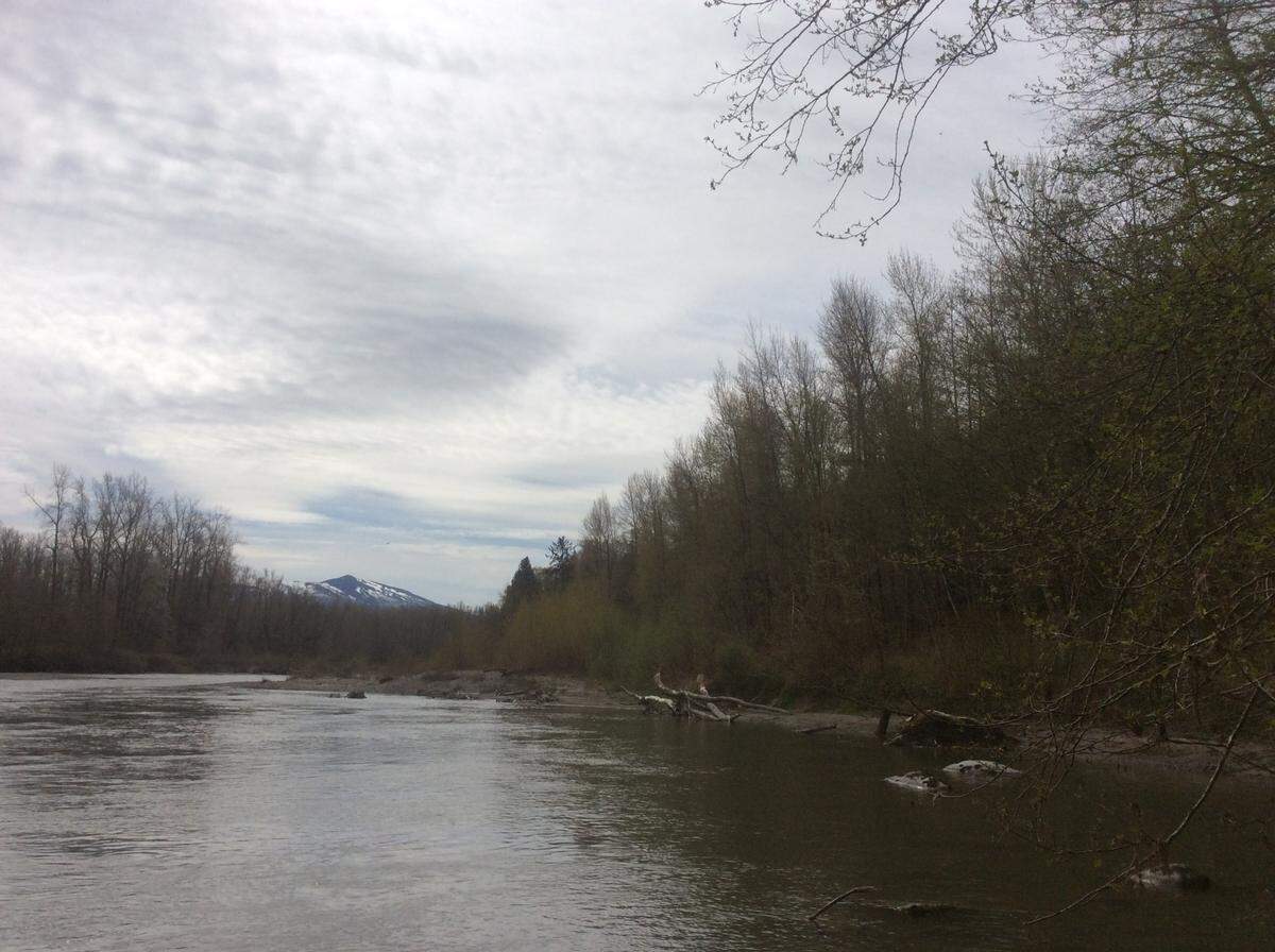 The South Fork of the Nooksack River flows just east of Stewart Mountain in Whatcom County. The river will benefit from the nearby Stewart Mountain Community Forest, a project of multiple organizations to purchase and transform 5,500 acres into a community forest.